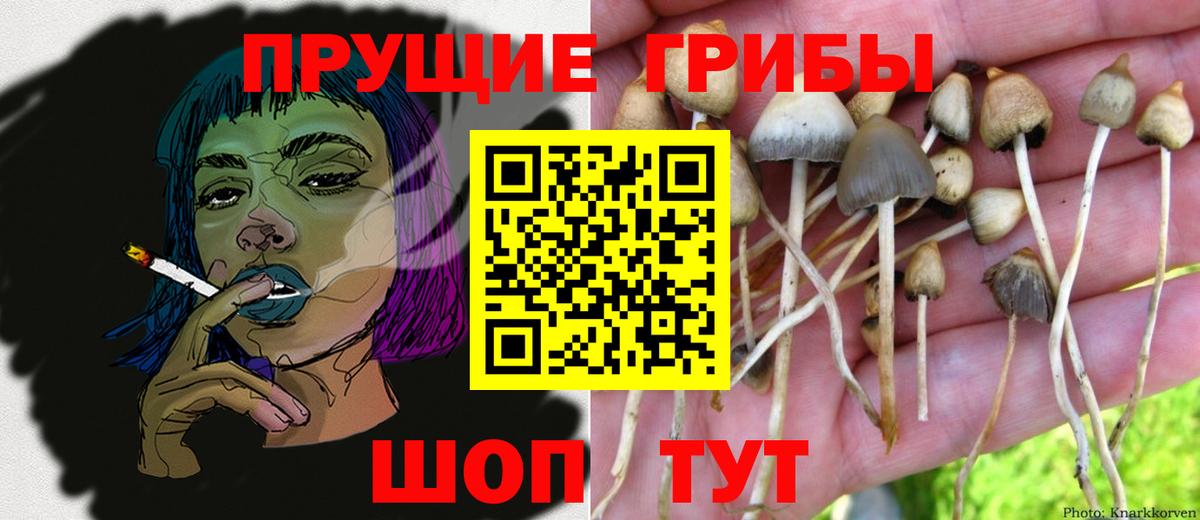 Псилоцибиновые грибы ЛСД  Вход с VPN  Борисоглебск 